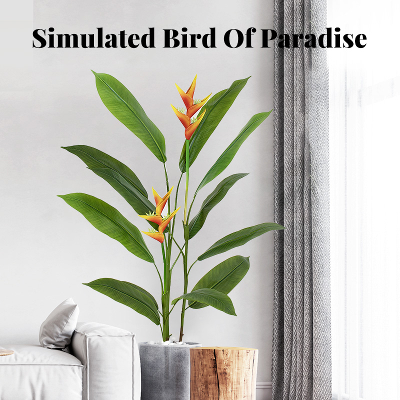 Large potted plant of Bird of Paradise | With upright leaves like banana plants, it remains green all year round and is a top-notch green plant in the living room.