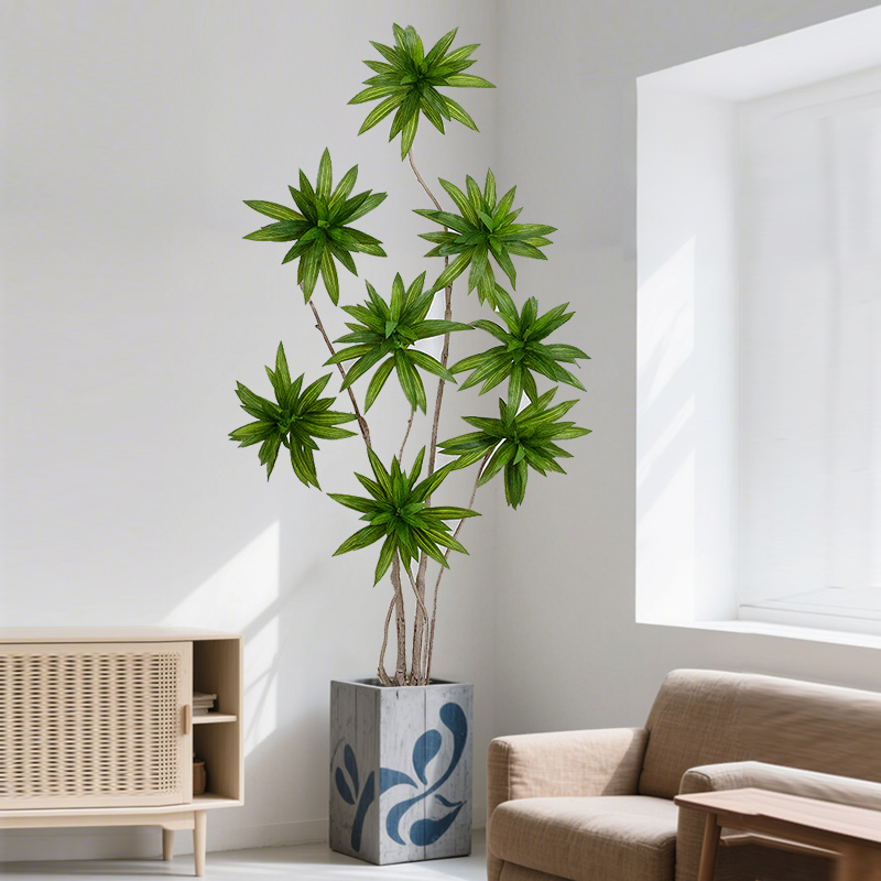 Lily Bamboo - Bamboo symbolizes peace, lily brings blessings, and is an auspicious green plant that brings good luck.