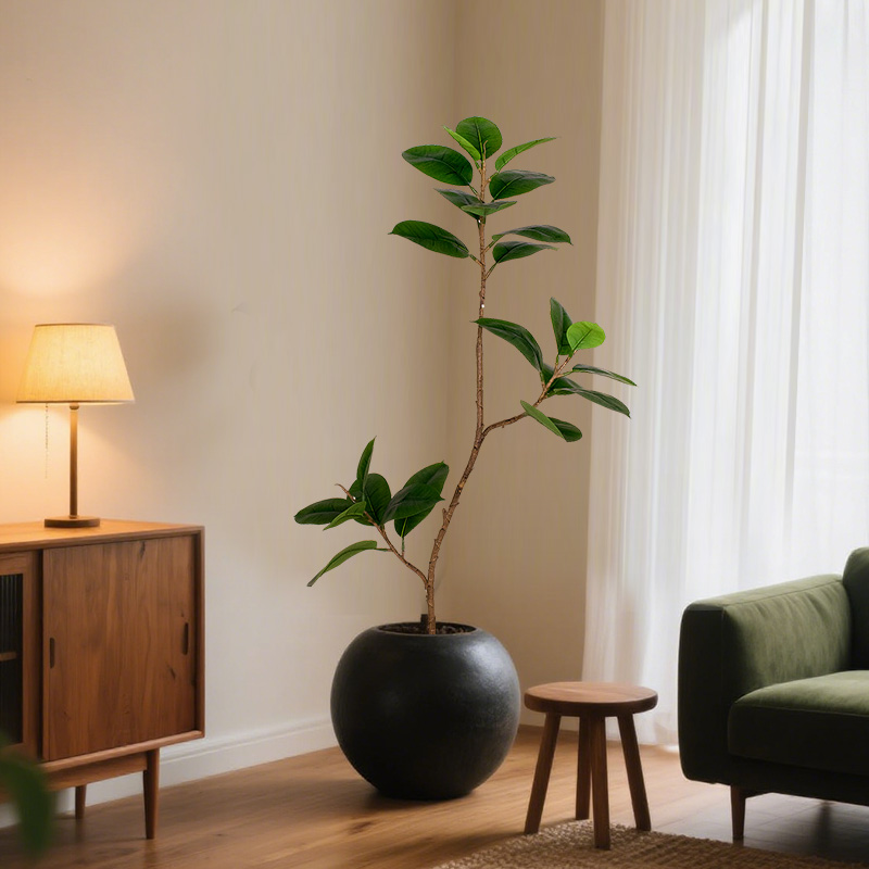 The Nordic-style rubber tree is an ideal potted plant to add a touch of fashion and nature to your living room