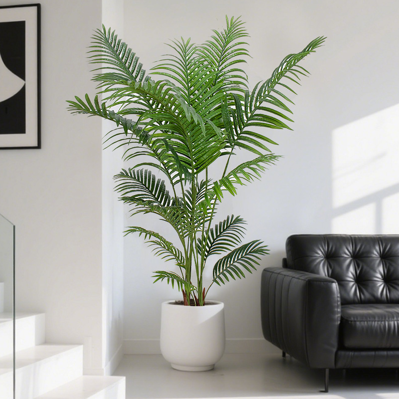 Natural humidifier: Large potted plants of Chrysalidocarpus alba increase humidity and reduce noise to create a comfortable home environment