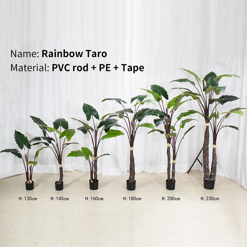 "Rainbow Taro Potted Plant - Colorful and vibrant leaf colors add a natural and artistic touch to your home.