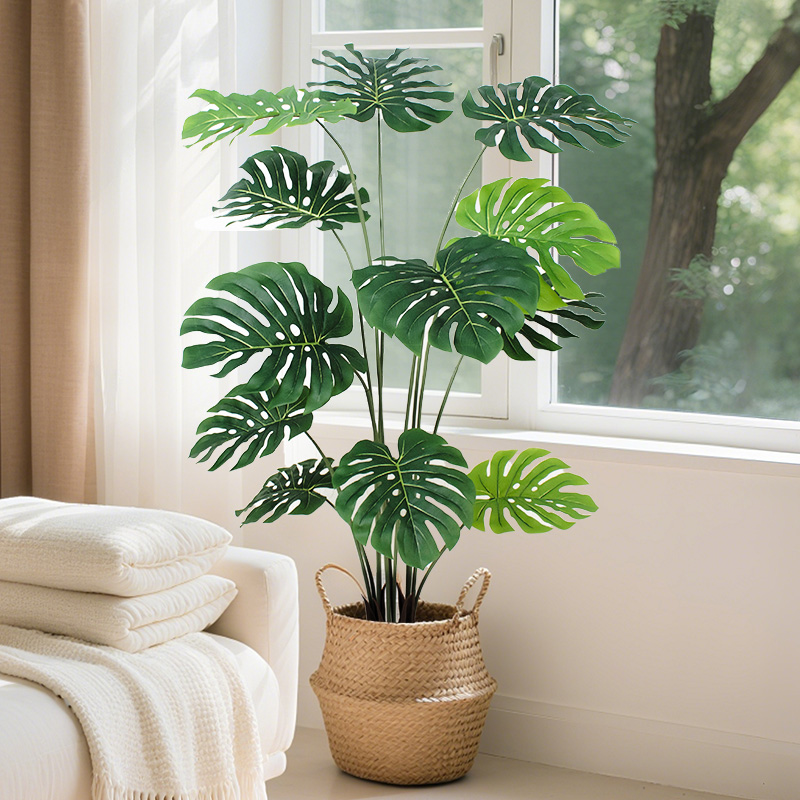 Air purification tube turtle-back bamboo | Highly efficient dust adsorption and oxygen release for healthy green plants in the bedroom