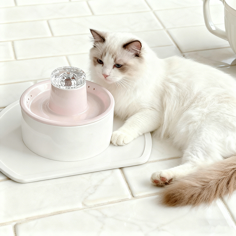 Pet Smart Water Fountain for Cats - Dual-Pet Sharing Automatic Circulating Filtered Hydration Device (Quiet & Anti-Dry Burning)