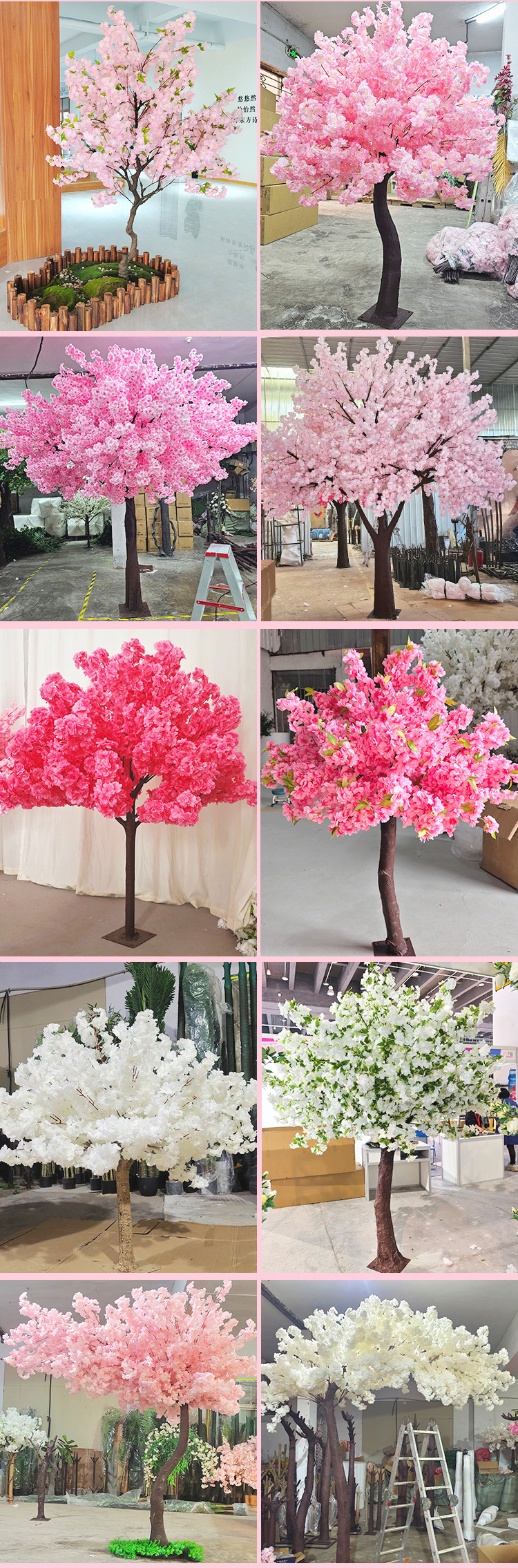 带叶樱花树_09